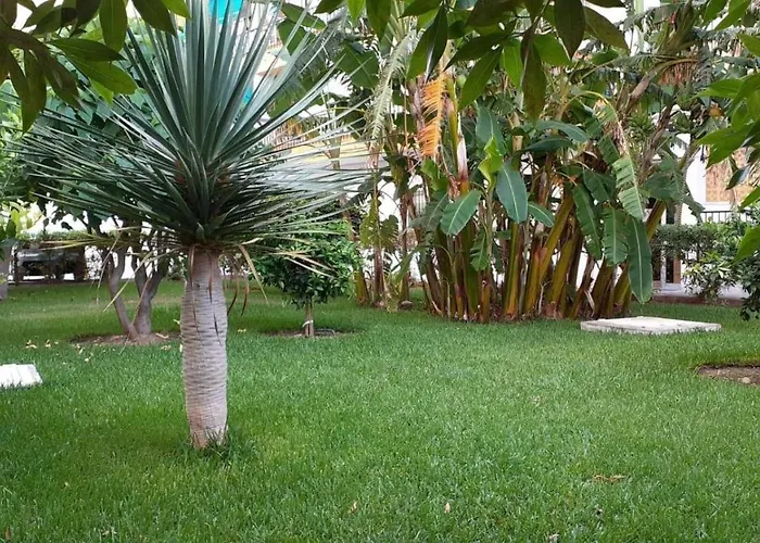 Rincon Mediterraneo * Nerja